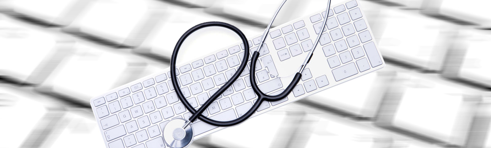 Unsere IT-Dienstleistungen, IT Zambo